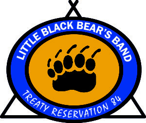 Little Black Bear
