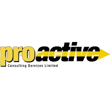 Proactive Consulting Services