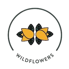 Wildflowers Therapy