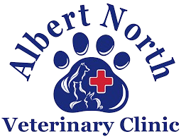 Albert North Veterinary Clinic