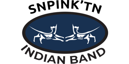 SNPINK'TN Indian band