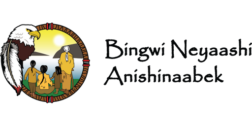 Bingwi Neyaashi Anishinaabek