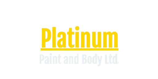 Platinum Paint and Body