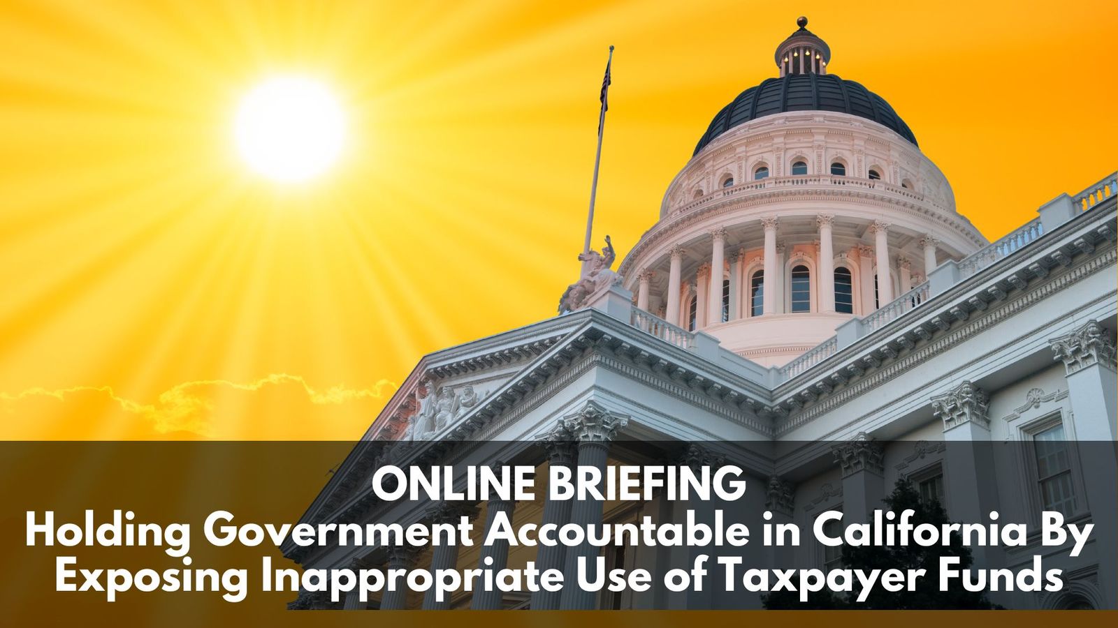 Online Briefing: Holding Government Accountable in California By Exposing Inappropriate Use of Taxpayer Funds
