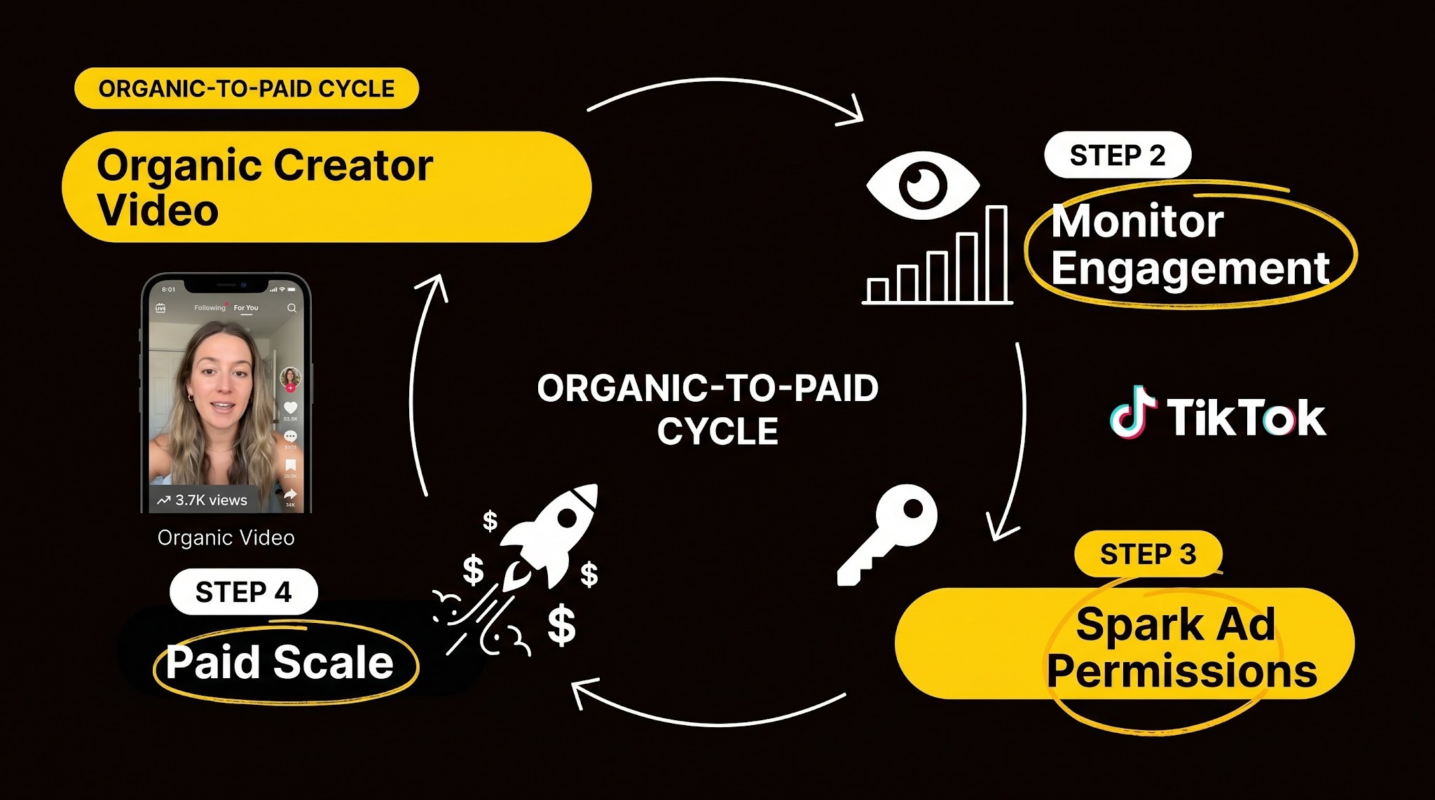 Four-step cycle diagram: organic video, engagement monitoring, spark ad permissions, and paid scaling connected in a loop.