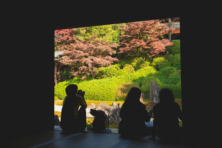 Silhouettes of people sitting in front of a traditional Japanese garden with lush greenery