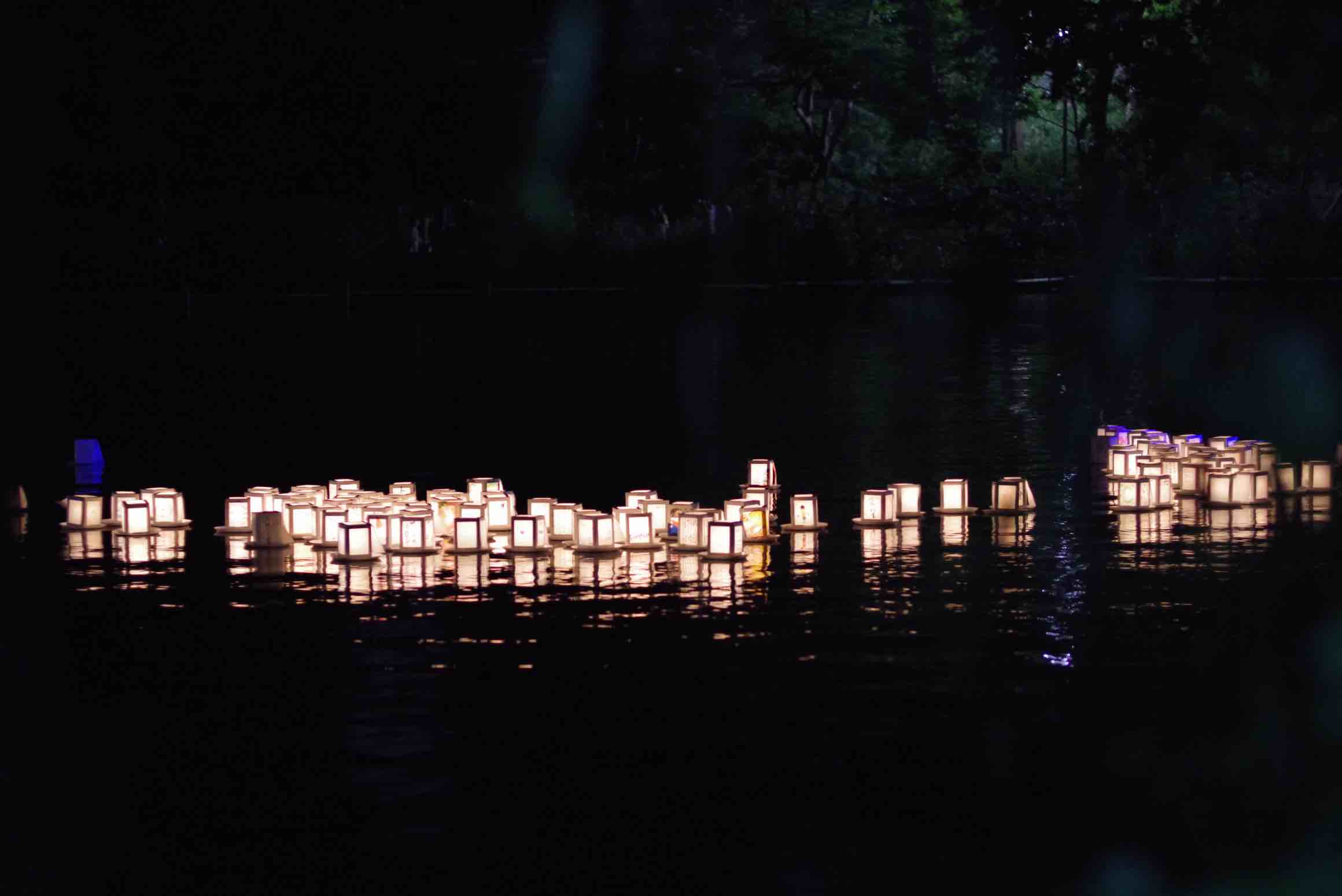 Paper lanterns floating on the water at night during a Toro Nagashi ceremony.