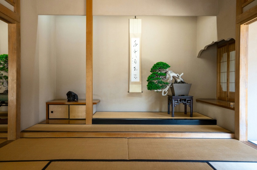 Traditional Japanese tokonoma alcove with bonsai tree and hanging calligraphy scroll.