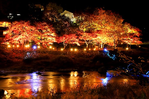 Night illumination of maple trees reflecting on the Tama River in Mitake Valley, Tokyo.