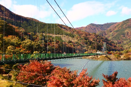 Suspension bridge surrounded by red maple trees in Momijidani Park on Miyajima in autumn.