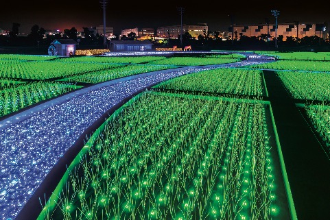 Wide LED fields at Tokyo Mega Illumination glowing in bright blue and green, arranged in geometric rows that resemble stylized fields.