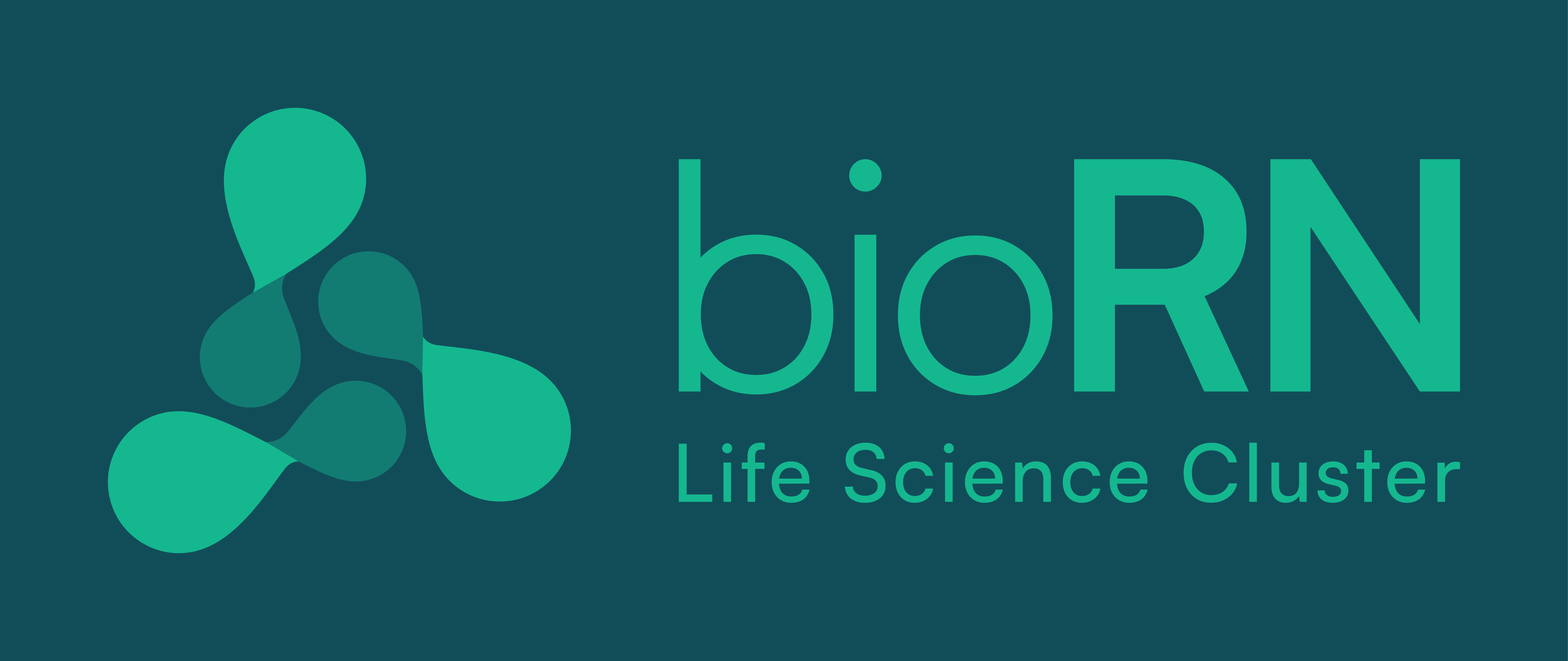 bioRN Life Science Cluster logo