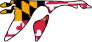 washington college logo