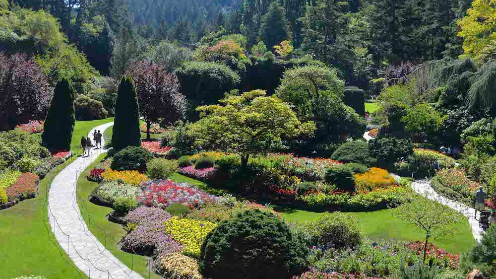 A walking path at Butchart Gardens on a rare summer day when no visitors are present