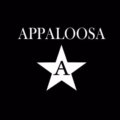 Appaloosa Country Band, cover band country, groupe de reprises de chansons country, musiciens de qualités