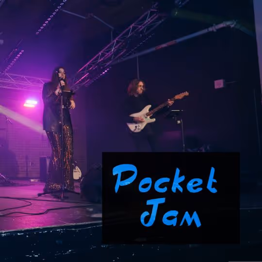 Quatuor qui fait danser aux rythmes des succès anglophones et francophones des 1970 à aujourd’hui! 