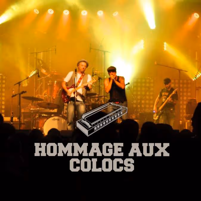 les-colocs-groupe-hommage-dédé-fortin