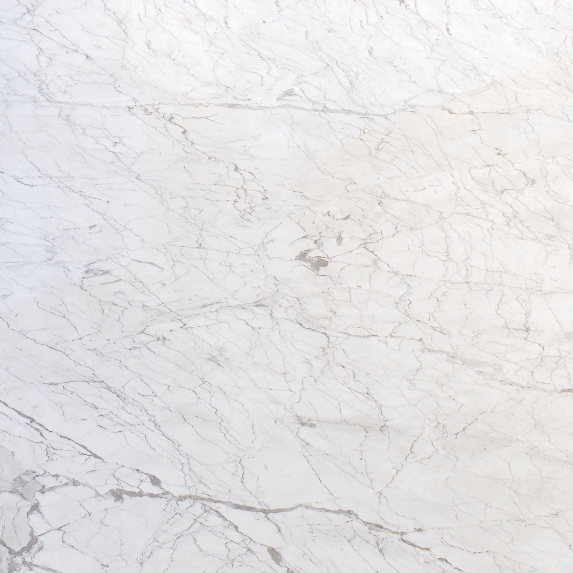 Carrara Gioia Carrara Gioia