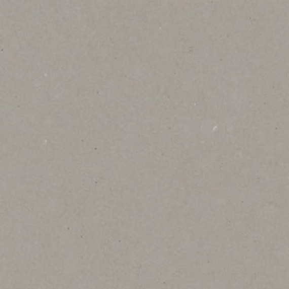Ash Grey Ash Grey