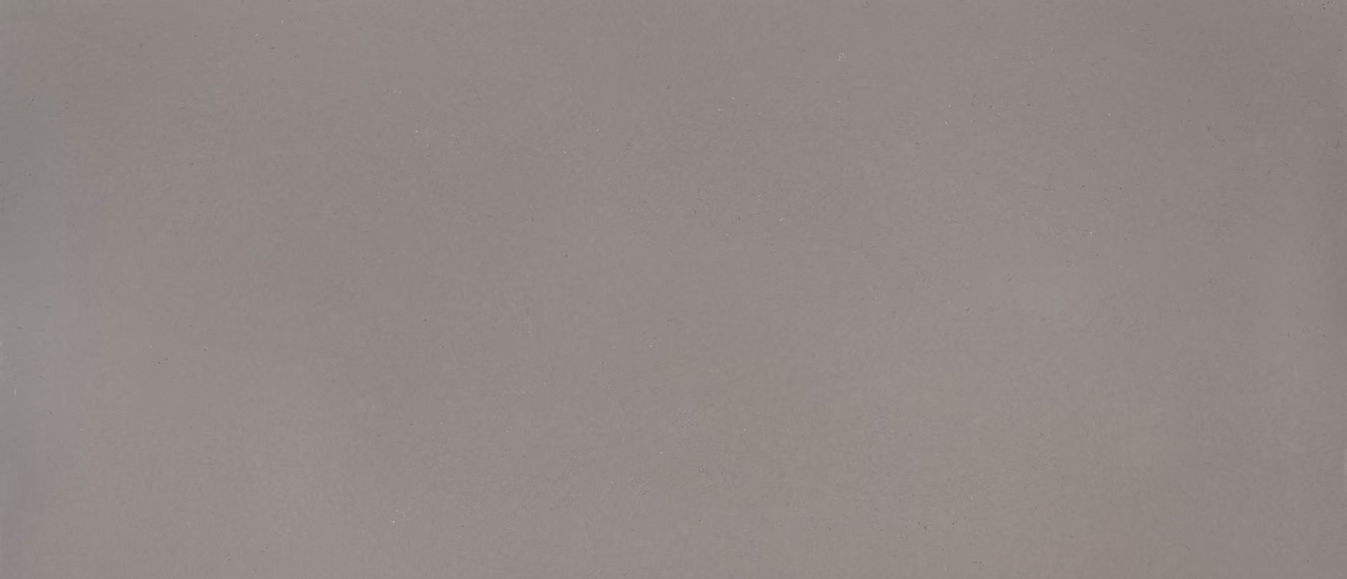 Fossil Gray Fossil Gray