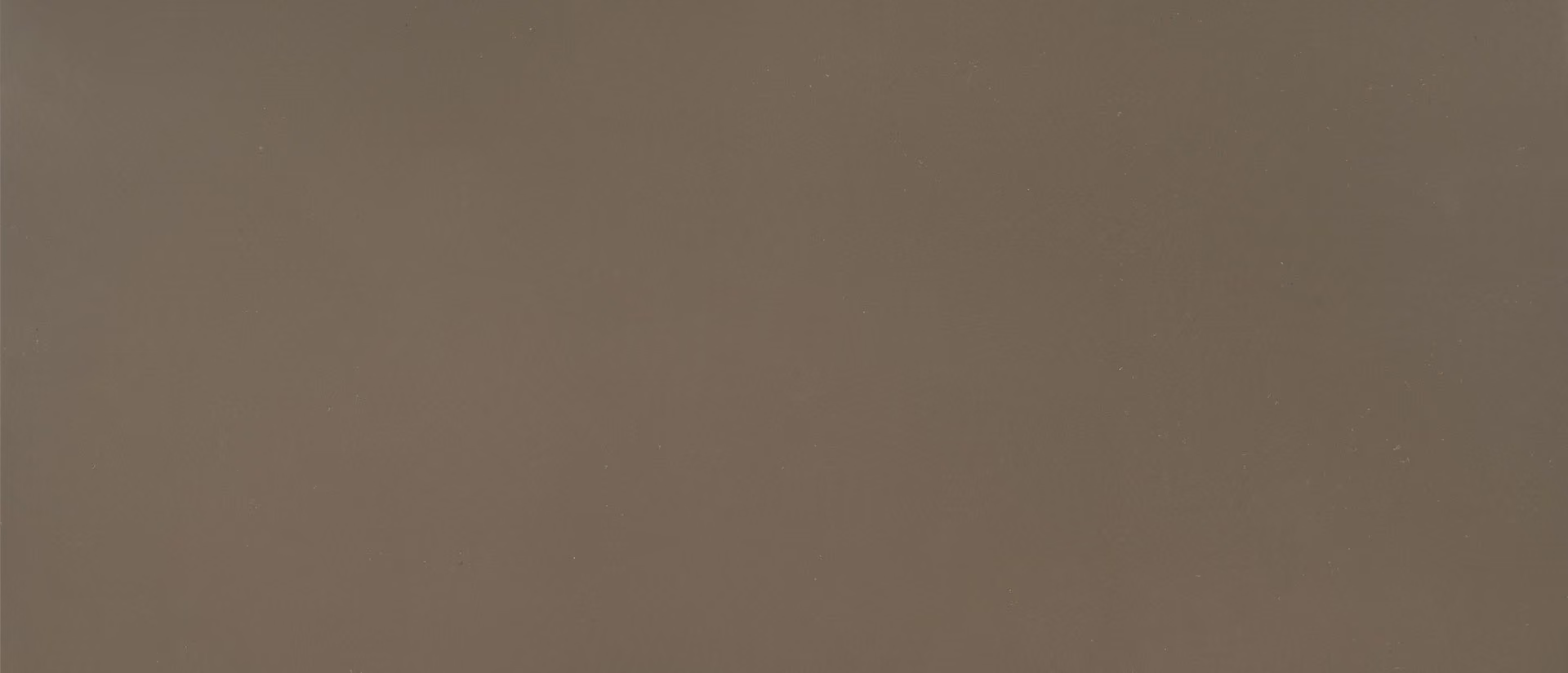 Fossil Brown Fossil Brown