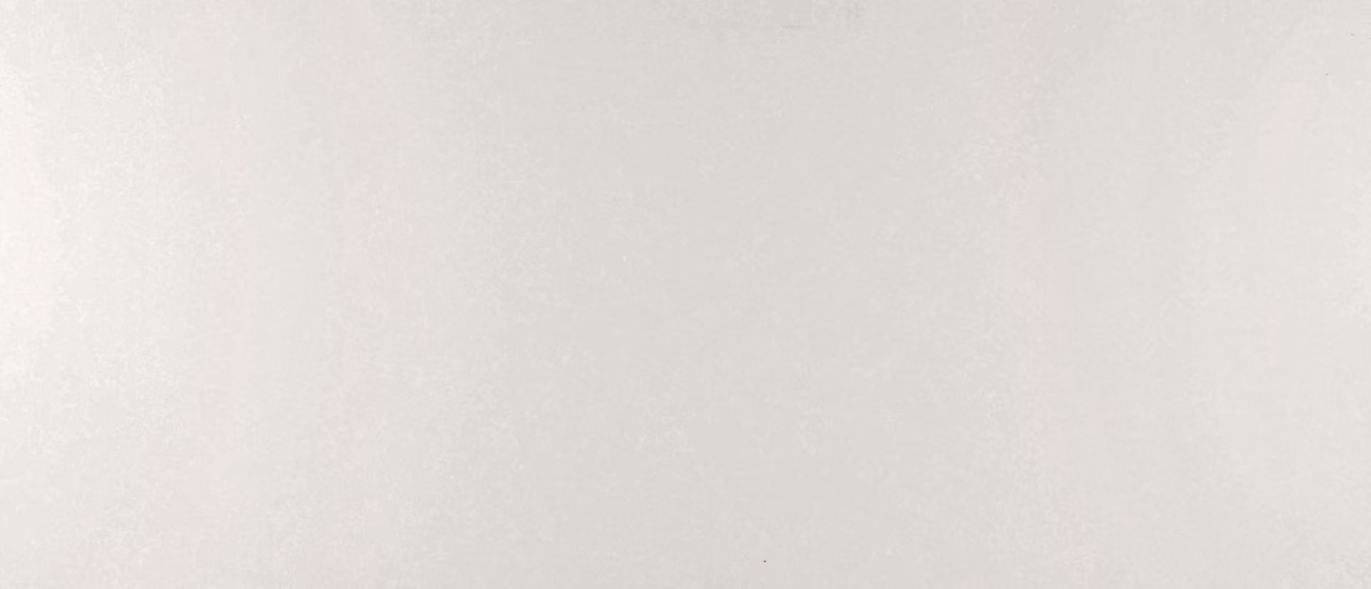 Perla White Perla White