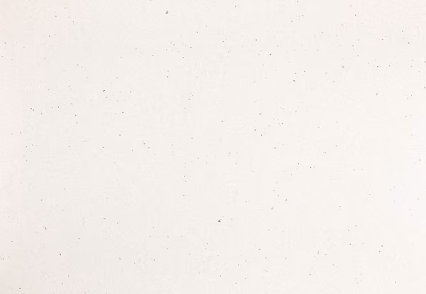 Minnesota Snow