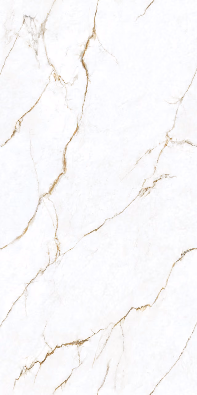 Lemurian Panoramic Porcelain Lemurian Panoramic Porcelain