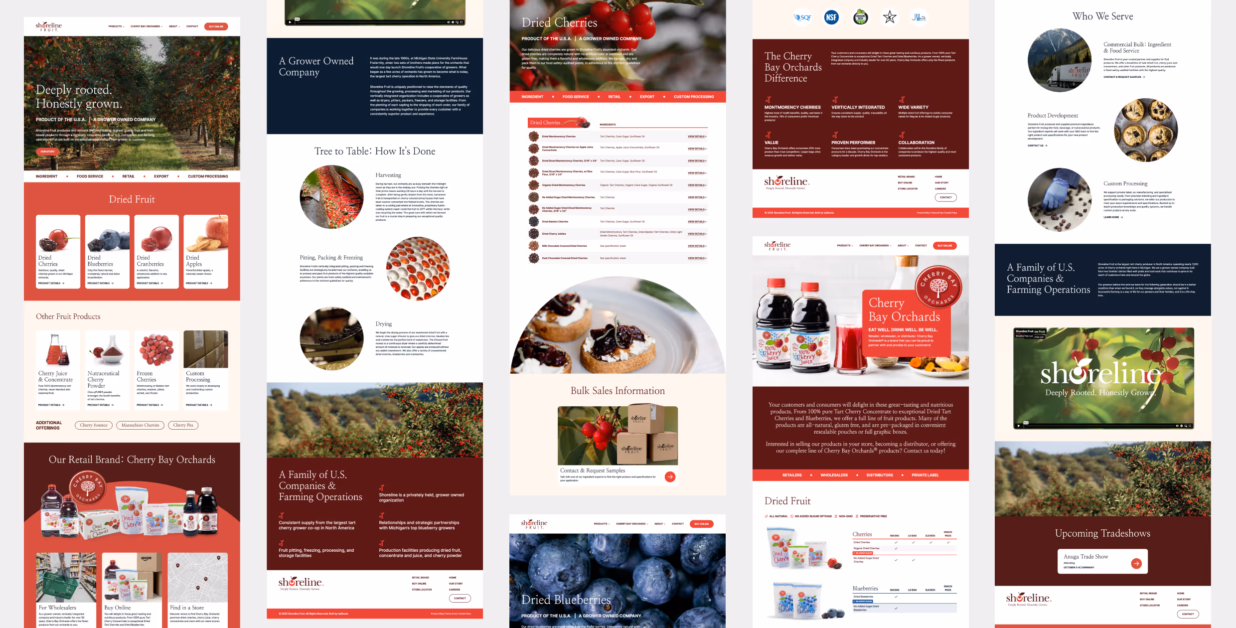 Shoreline Fruit website designs