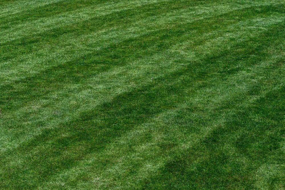 Green grass lawn with alternating light and dark striped mowing patterns.