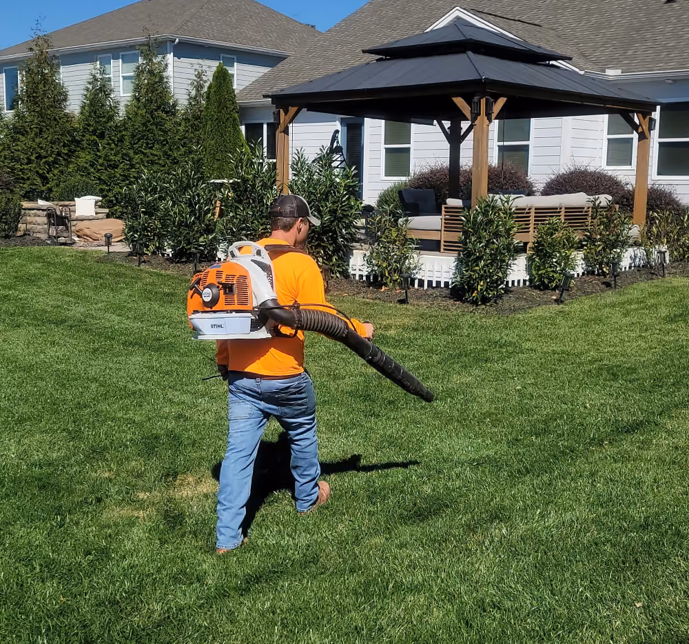 Person using backpack leaf blower for fall cleanup of yard.