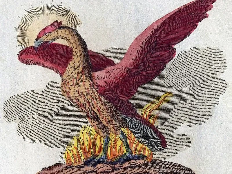 An illustration of a phoenix.