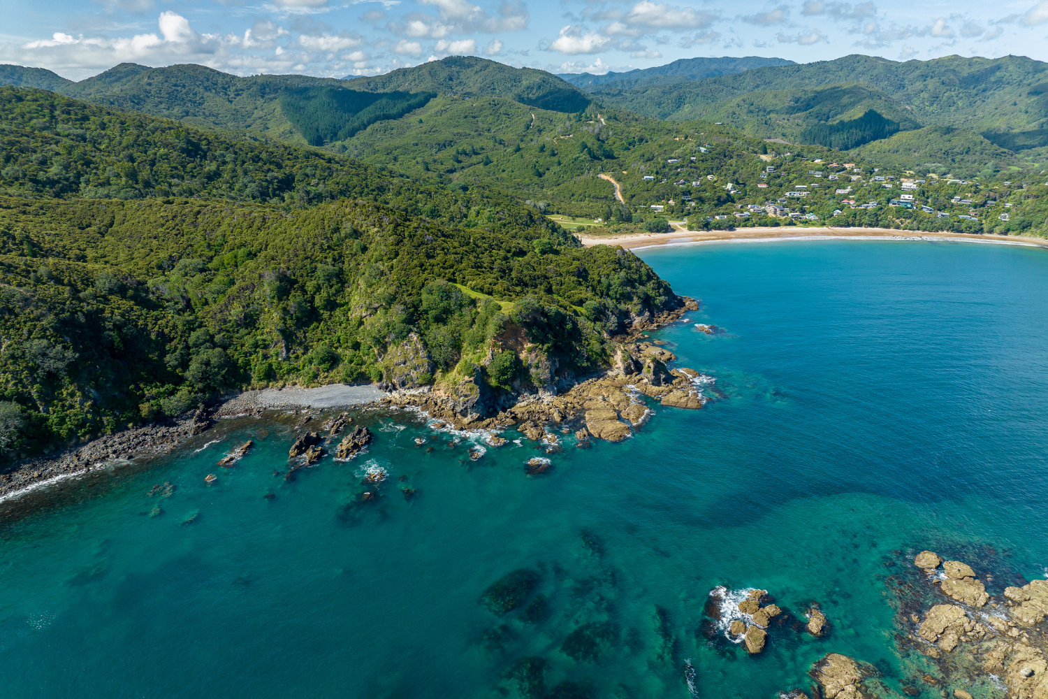 North Island Van Life: Freedom Starts Here