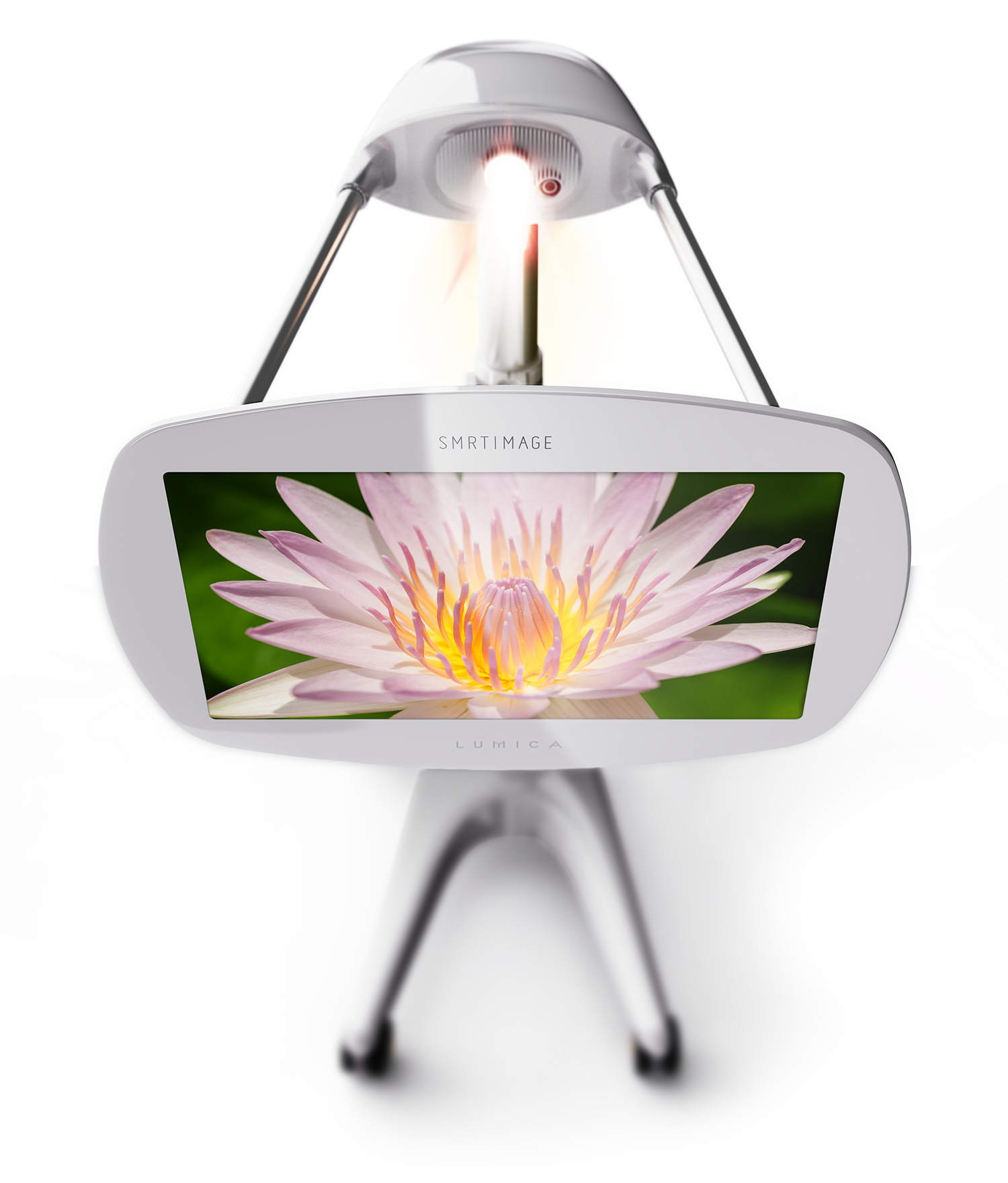 SMRT LUMICA Projector for MRI Exams displaying vivid nature content