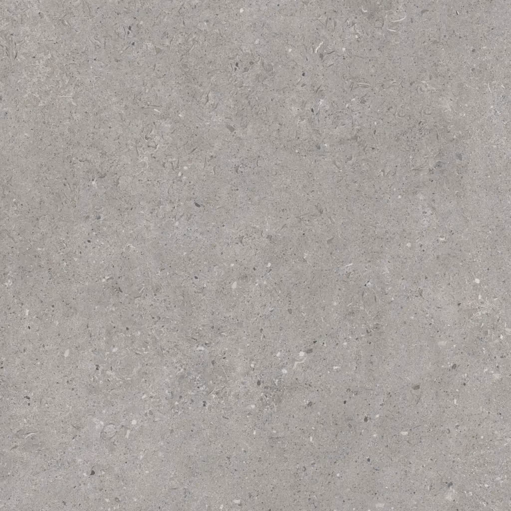 Porcea Gray Tusk