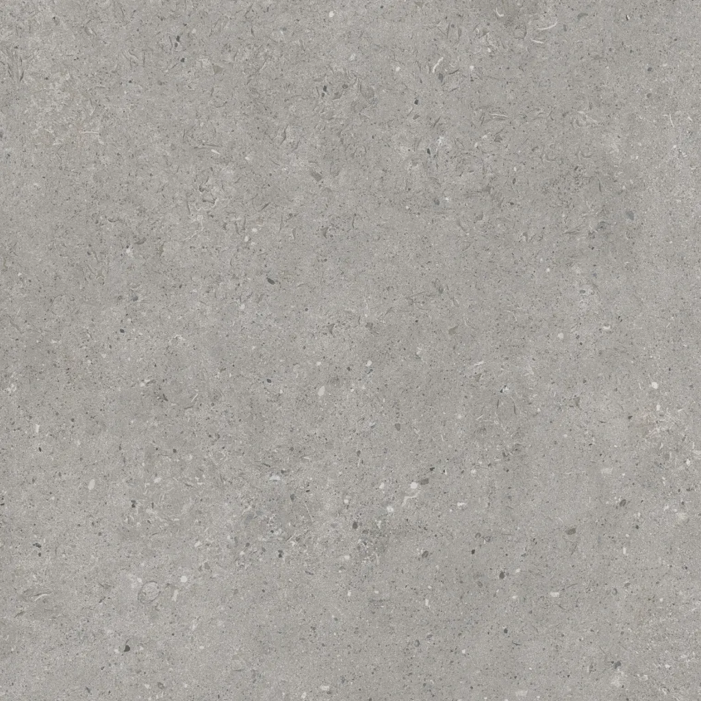 Porcea Gray Tusk
