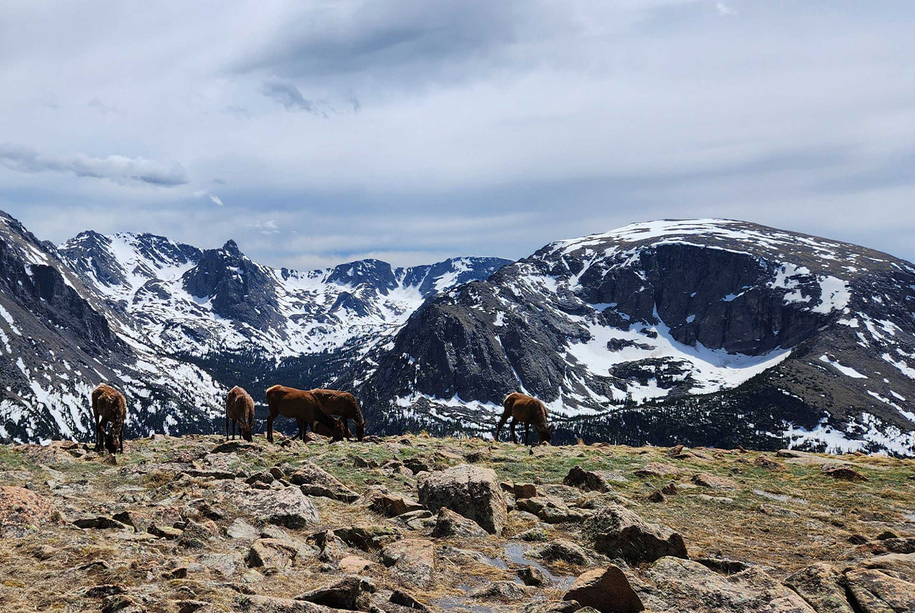 Winter Tours From Denver