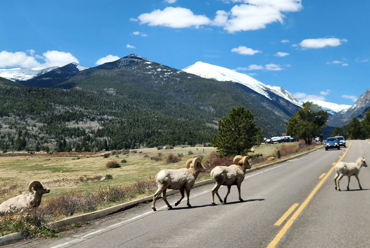 Winter Tours From Denver