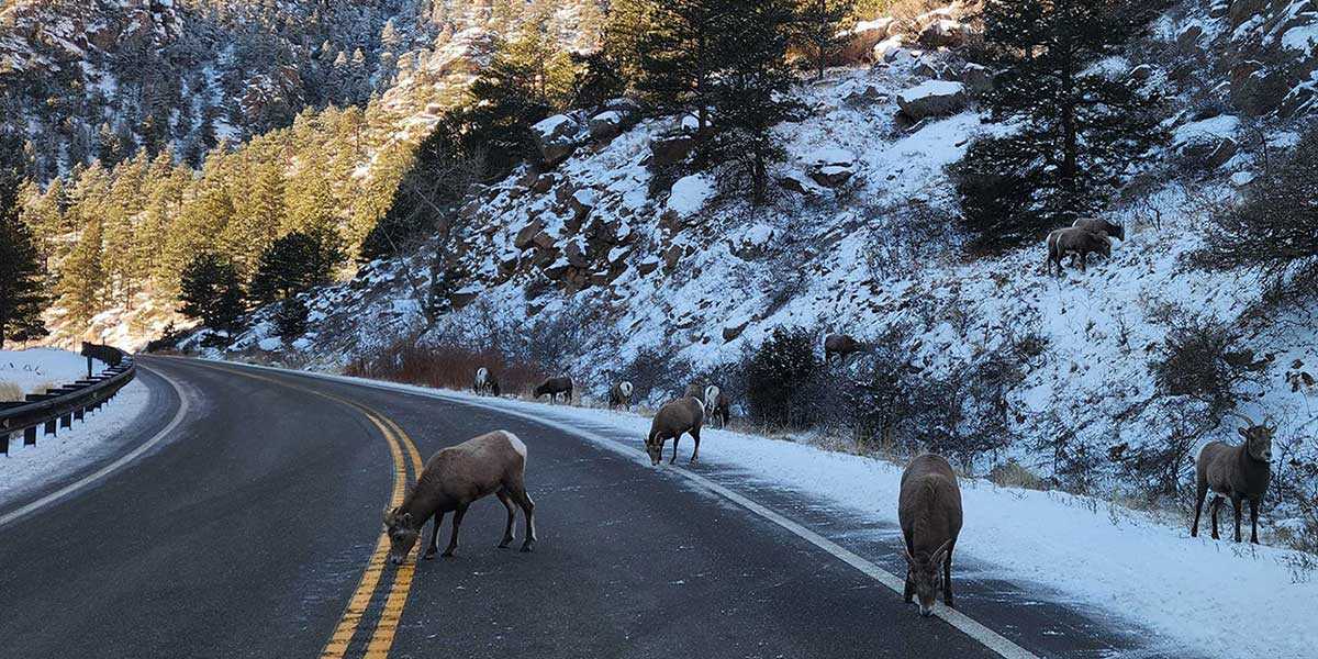 Winter Tours From Denver