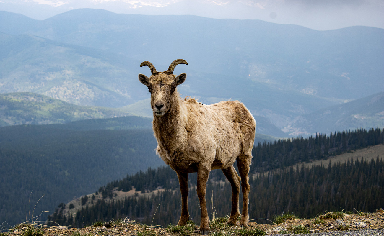 Winter Tours From Denver