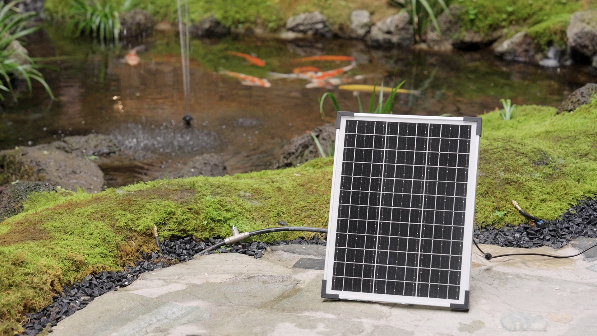 How to Choose the Right Solar Powered Fountain Pump (2026)