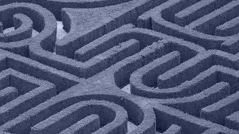 top perspective on a maze garden