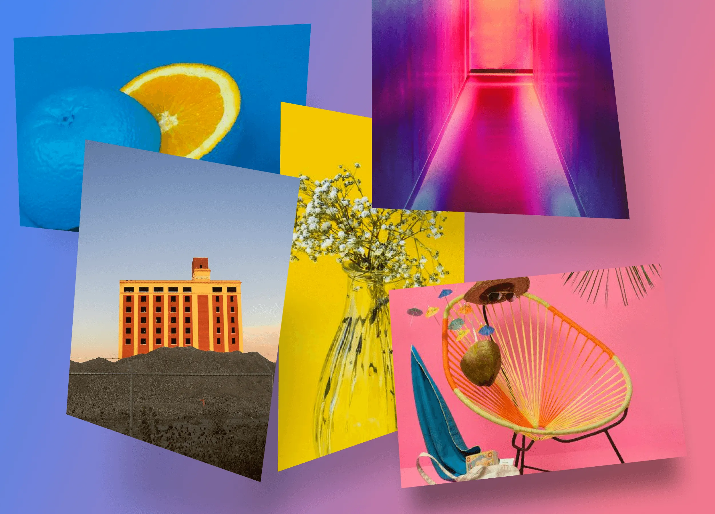 A gallery of colorful images like an orange with a blue peel, an illuminated corridor, a vase with a flower, a building, and a chair.
