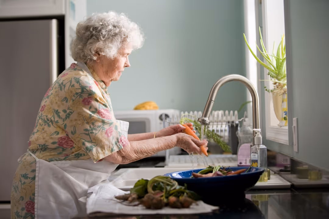 housekeeping assistance for seniors - housekeeping assistance for seniors