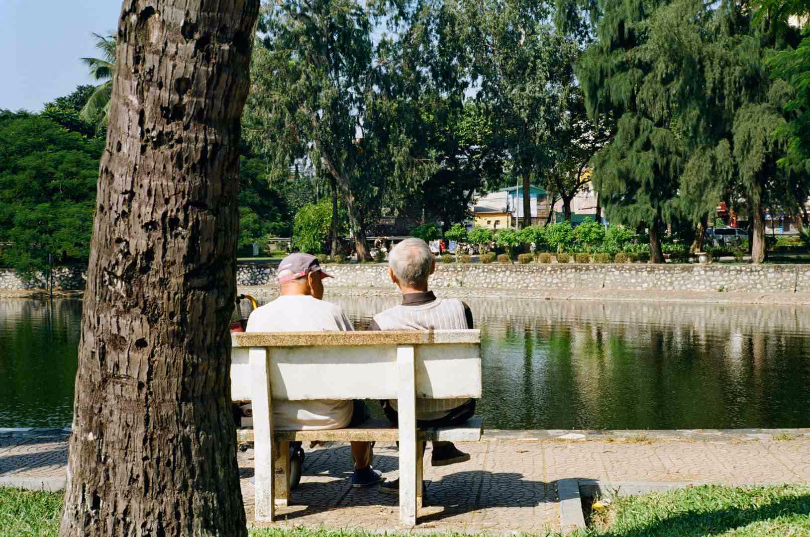 senior companion program