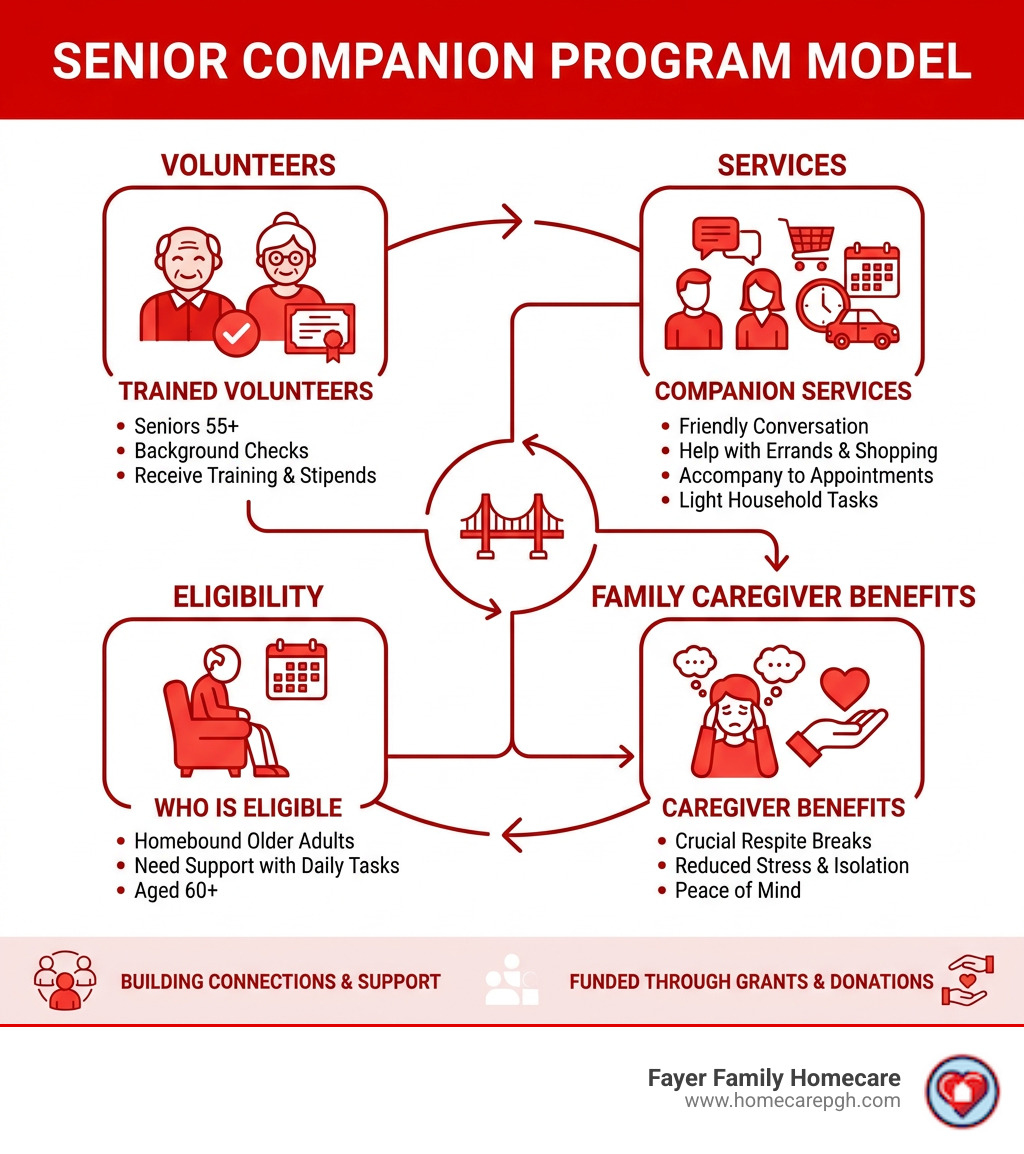 Senior companion program model infographic showing volunteers, services, eligibility, and family caregiver benefits - senior Senior companion program model infographic showing volunteers, services, eligibility, and family caregiver benefits - senior