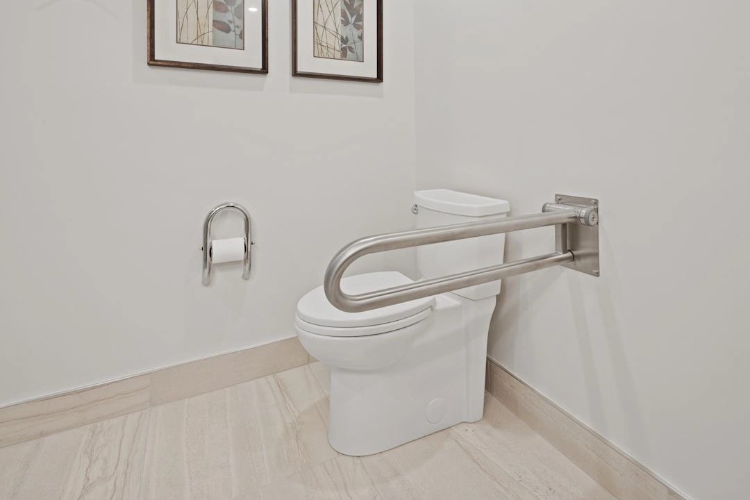 Modern bathroom with installed safety grab bars Modern bathroom with installed safety grab bars