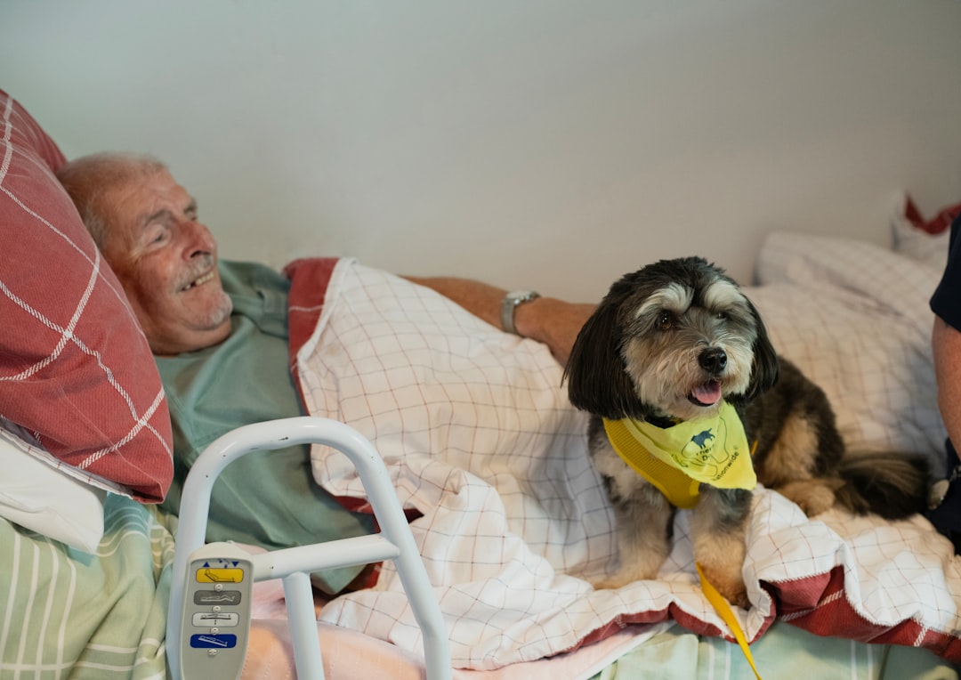 elderly patient returning home from hospital with family caregiver