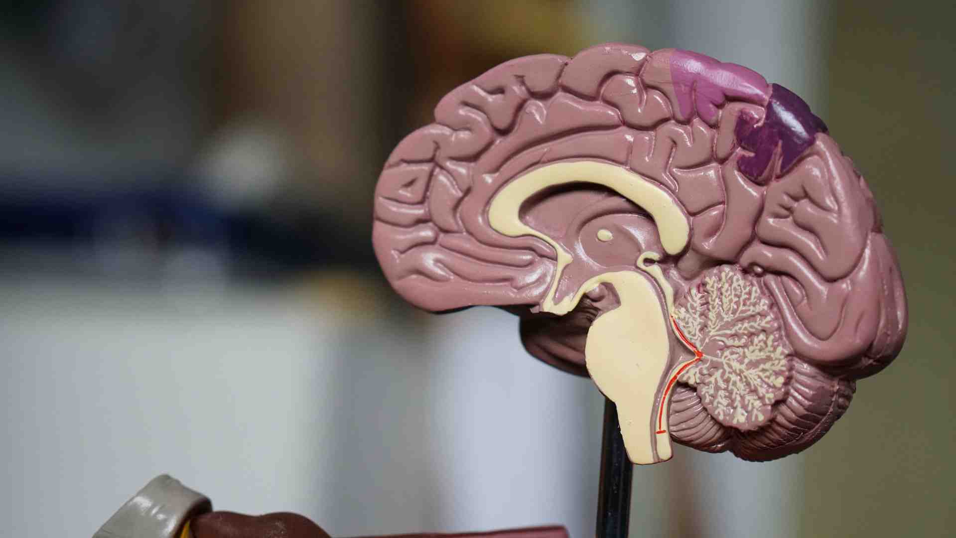 stroke recovery home care pittsburgh