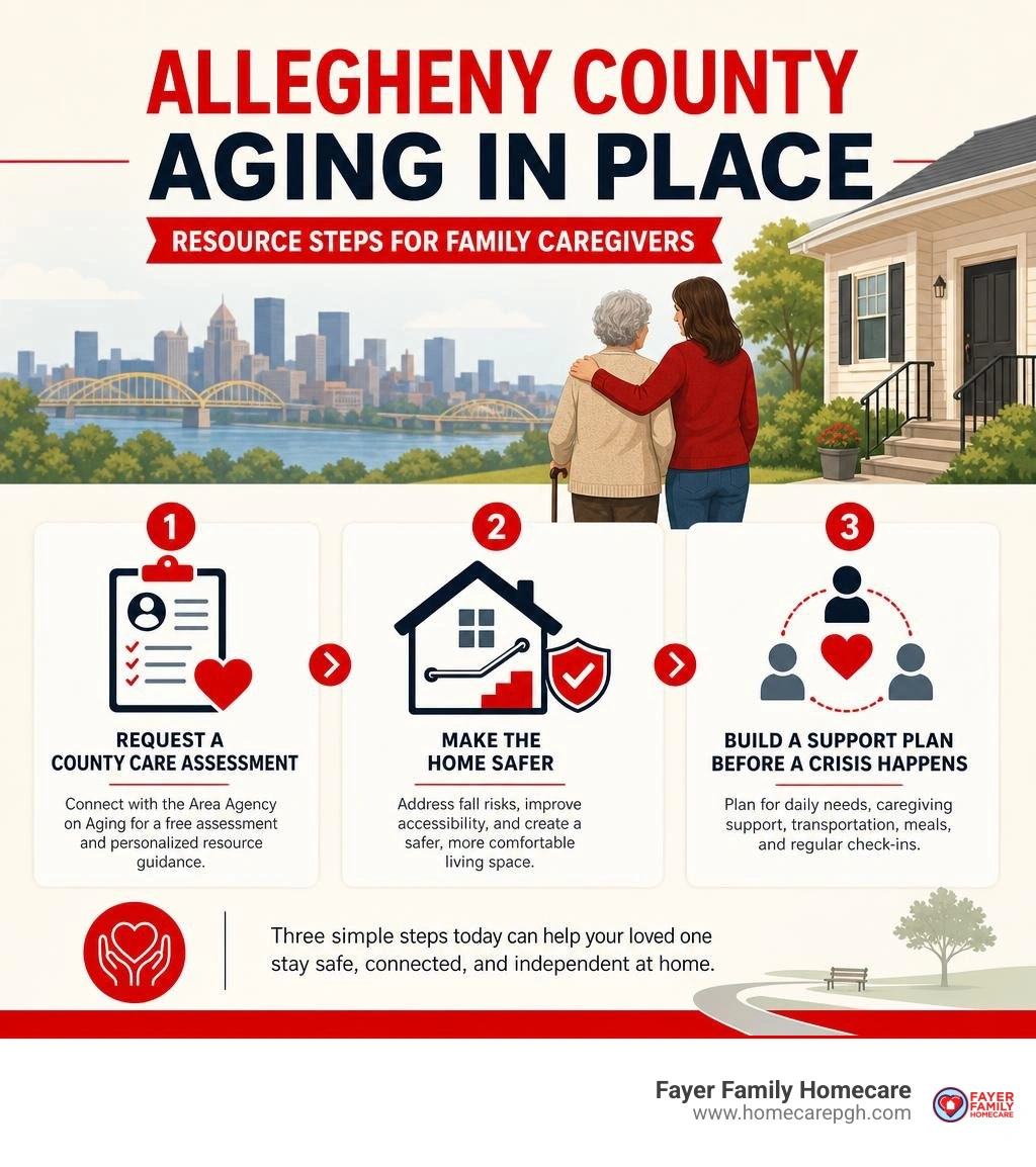Allegheny County aging in place resource steps for family caregivers infographic Allegheny County aging in place resource steps for family caregivers infographic